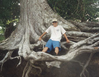 Mike in a tree.